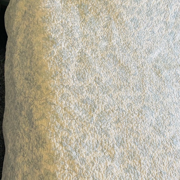 Aqua quilt 100% cotton, true light color. King-Queen Size. EC. Floral & Striped - Picture 9 of 16